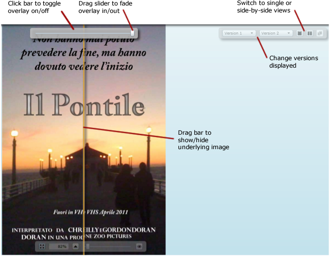 Overlay Image
